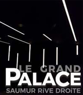 LE GRAND PALACE SAUMUR - E-Chèque Cinéma 1 séance standard normale jusqu'au 11/03/2025