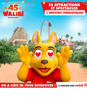 E-PASS SAISON 2024 WALIBI RHONE ALPES Tarif Unique Adulte OU Enfant